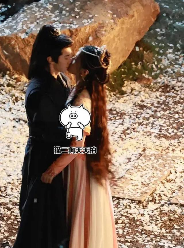 陈哲远张婧仪花瓣雨全景镜头