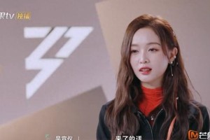 《乘风2025》选人争议：吴宣仪弃卡琳娜，陈德容陷尴尬