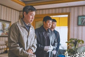 《真心英雄》热播：政法英雄群像与真实案件改编