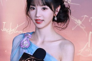 田曦薇校园暴力争议：五年舆论战真相解析