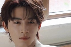 2024年十大走红男星盘点：演技与魅力并存