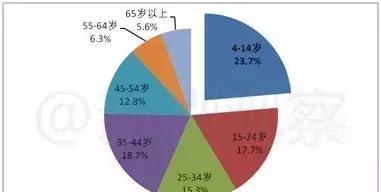观众年龄构成图表