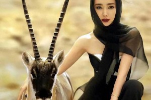 依依是谁？揭秘治愈系智慧女神的科技魔法与人性温度