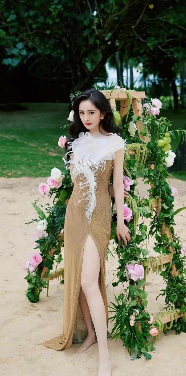精选图片2