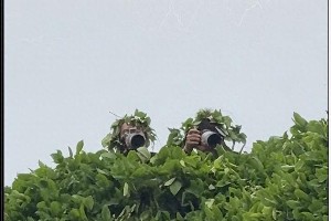 于正新剧《玉茗茶骨》热拍，古力娜扎领衔七位男主引热议