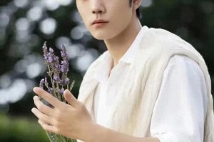 刘亦菲、肖战、杨紫等明星最新动态与事业进展