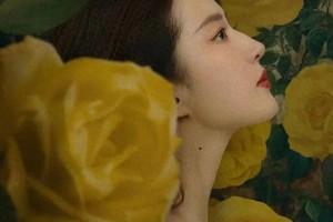 《玫瑰的故事》黄亦玫情感历程解析：刘亦菲演绎四段刻骨铭心爱情
