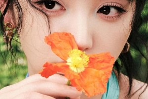 精选图片集锦：视觉盛宴一览