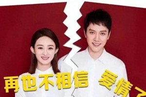 赵丽颖冯绍峰离婚：事业与婚姻的现代冲突