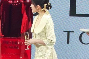 刘亦菲新中式礼服惊艳上海活动，展现黄金腰臀比