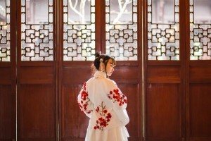 林墨与凤邑宸：将军府嫡女的权谋与情缘