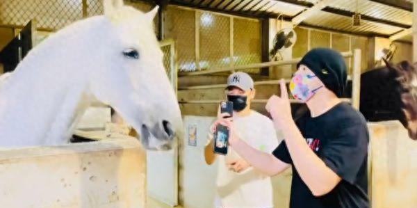 周杰伦播放《本草纲目》